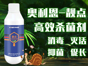 �W��������Ƽ����޹�˾