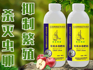 �����r�I�Ƽ����޹�˾