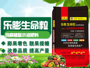 ɽ�|���������＼�g���޹�˾