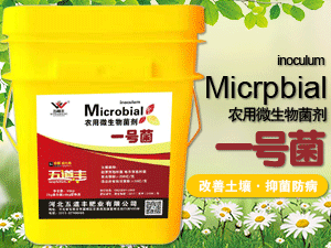 �ӱ�����S�ʘI���޹�˾