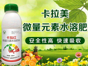 Ӣ���{�ƵV�I��Դ���޹�˾