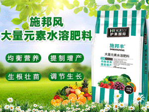 �����o���r�I�Ƽ����޹�˾