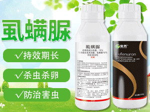 ���ό�Ȼ����Ƽ����޹�˾