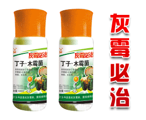 ɽ�|�y���������޹�˾