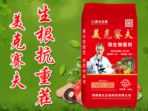 ����ِ������Ƽ����޹�˾