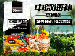 ɽ�|�r��һ����Ƽ����޹�˾