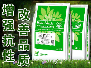 ����������������޹�˾