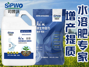 ˾����(���u)���H�Q�����޹�˾