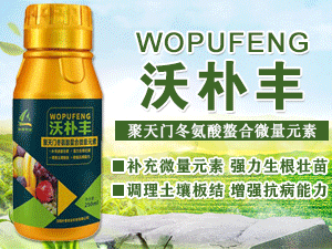 ���Ϙ�̩�r�I�Ƽ����޹�˾