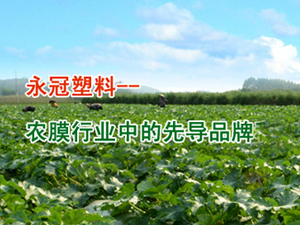 �����������������޹�˾