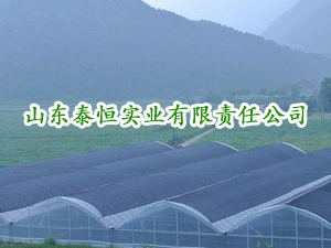 ɽ�|̩�㌍�I(y��)���޹�˾