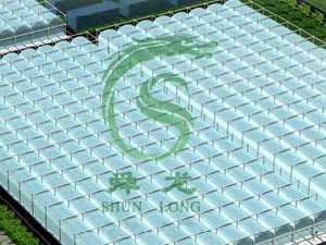 �۹��д���˴���r�I�b�似�g��������