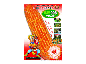 �Ĵ������r�I�lչ���޹�˾