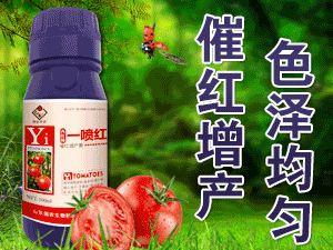 ɽ�|��(qi��ng)�r(n��ng)����Ƽ����޹�˾