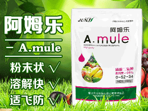 ���Ͼ����r�I�Ƽ����޹�˾