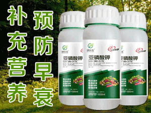 �����������r(n��ng)�I(y��)�Ƽ����޹�˾