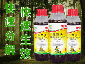 �������ɽ�����Ƽ����޹�˾