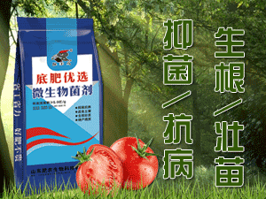 ɽ�|���r(n��ng)����Ƽ����޹�˾