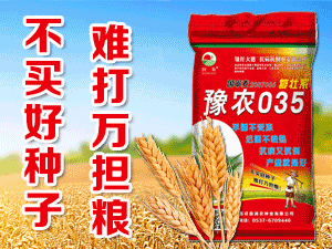 ���鳿�̷N�I���޹�˾