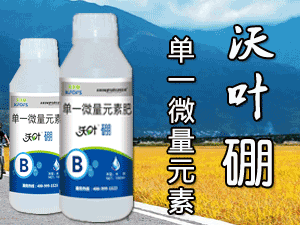 ����ʩ�����������＼�g���޹�˾