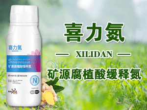 ��������S����Ƽ����޹�˾