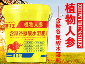 ɽ�|�����������＼�g(sh��)���޹�˾