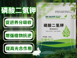 ����������������Ƽ����޹�˾