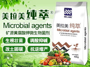 ���_(t��i)�������M(j��n)�������޹�˾