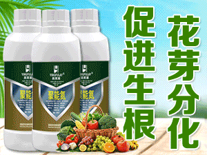 ���ϰ��A����Ƽ����޹�˾