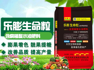 ɽ�|���������＼�g(sh��)���޹�˾