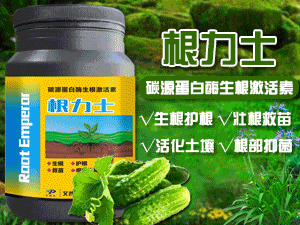 ���ϰ������r�I�Ƽ����޹�˾