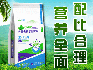 ʯ���f������Ƽ����޹�˾