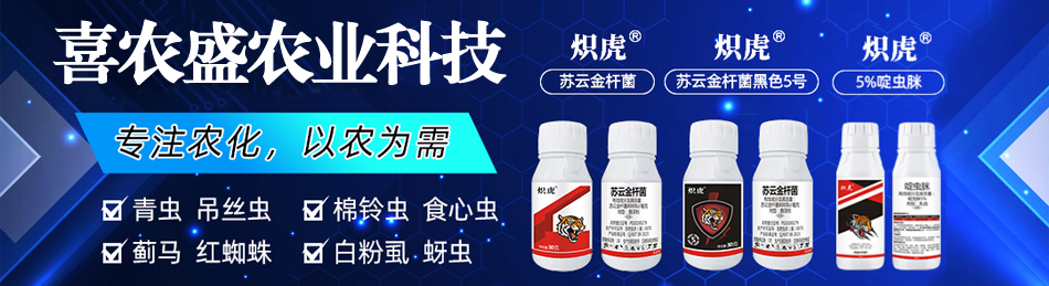 	����ϲ�rʢ�r�I�Ƽ����޹�˾