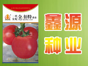 ���ҿ��������^��Դ�N�I