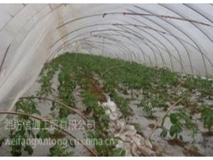 �H����ͨ���Q(m��o)���޹�˾