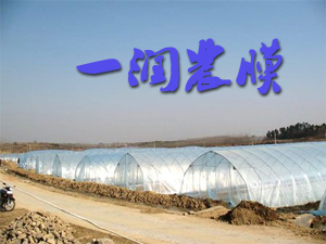 ������һ���rĤ�S