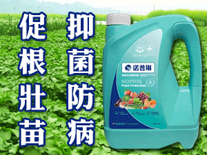 ���ݿ�������Ƽ����޹�˾