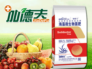 �ӱ���Ⱥ�r(n��ng)�I(y��)�Ƽ����޹�˾