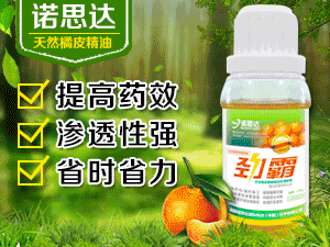 ���Z˼�_(d��)���H���F(tu��n)�ƌW(xu��)���޹�˾