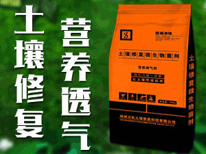 �������������ޏ�(f��)�Ƽ����޹�˾