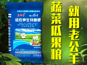 ��(n��i)�ɹ������r(n��ng)�I(y��)�l(f��)չ���޹�˾