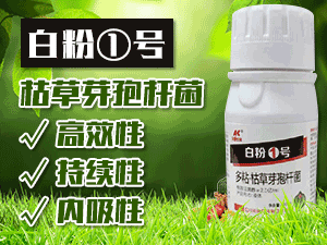 ���ϰ������ﱣ�o(h��)���޹�˾