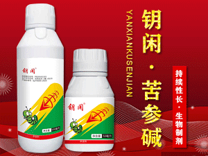 ����Ȥ�r�r�I�Ƽ����޹�˾