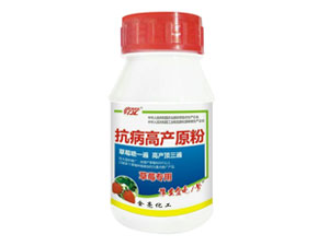 nong3.jpg
