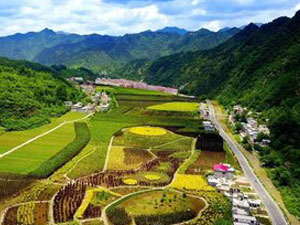 nong1.jpg