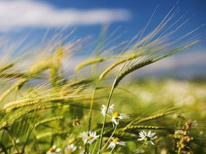 �r�Y��������Ҫ�ɹ���Ҫ�߂�ėl��1.jpg