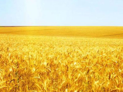 111.jpg