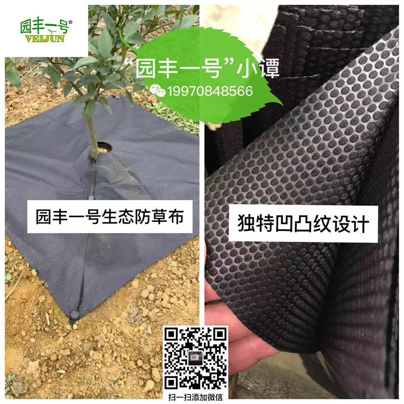 新型可降解园��C����L(f��ng)��态地�?.webp.jpg