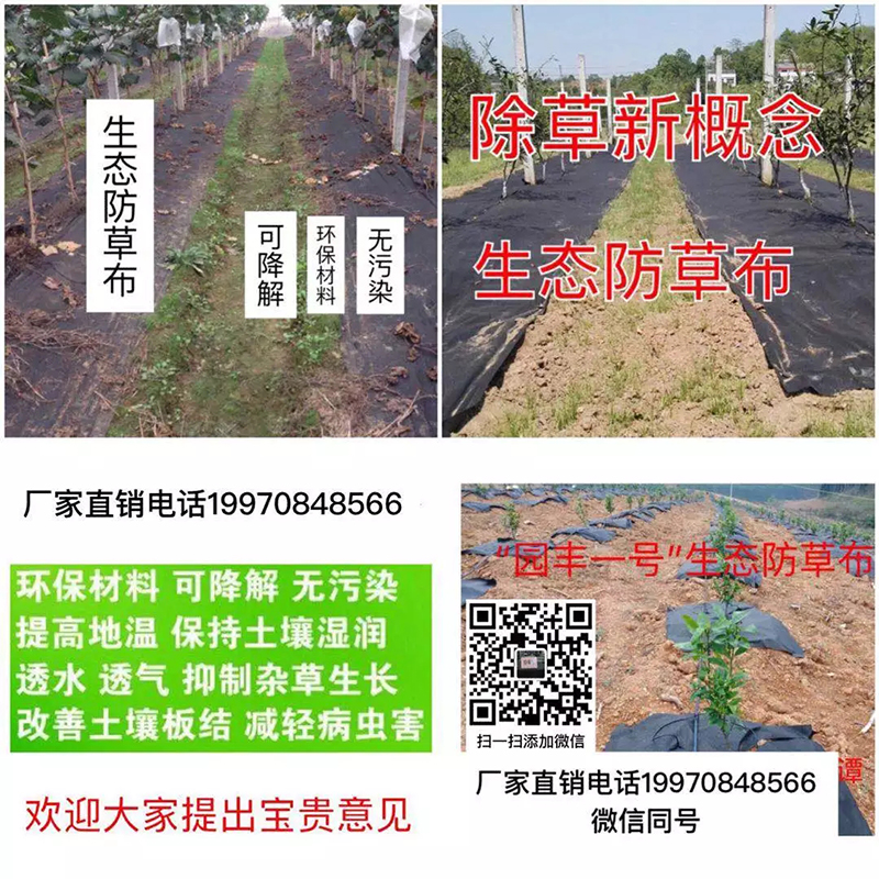新型可降解园��C����L(f��ng)��态地�?.webp.jpg