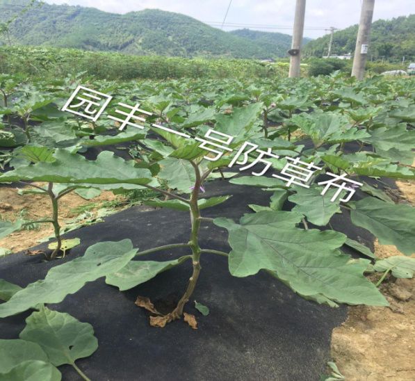 崇义县创新创业大赛展播崇义县威骏高分子功能材料科技有限公司——新型环保可降解防草布农业领域应�?.jpg